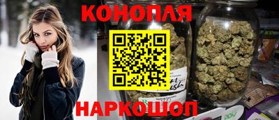гидропоника Можга