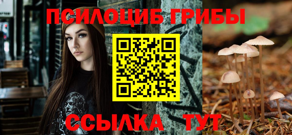 Псилоцибиновые грибы MAGIC MUSHROOMS  Вход с VPN  Тимашёвск 